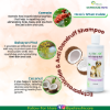 anti tick flea shampoo ingredients infographic