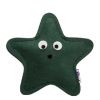 Green colour HRIKU Star Shape Catnip Toy for Cats