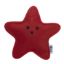 Red colour HRIKU Star Shape Catnip Toy for Cats