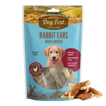 Dogfest dog treat