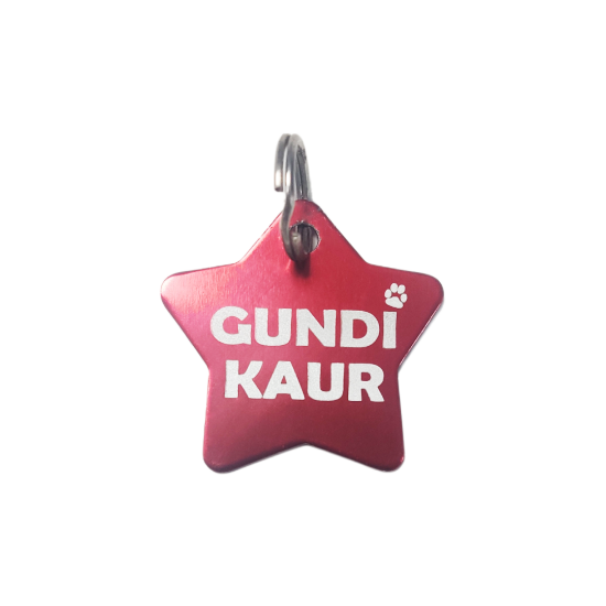 Front view Star Shaped Metal Tag