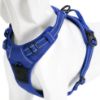 Dummy Dog Wearing Barkbutler x Truelove Blue Dog Harness Close Side View