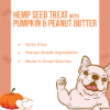 Picture of Hemp Pumkin treat