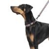 Zoomiez Bolt Printed Dog Collar