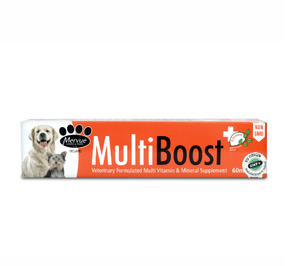 Multi Boost Cat Liquid | Nutritional Supplement for Cats & Kittens – Front View