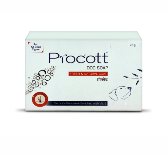 Procott dog soap close view