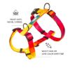 Zoomiez Printed H-Harness For Dogs - Solar