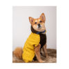 Petsnugs Warm & Stylish Cable Knit Sweater For Dogs And Cats