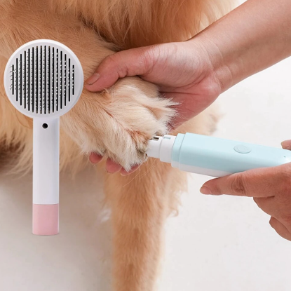 Showing women hand that grinding the paw nail of dog with Nail Grinder