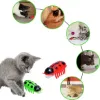 Cat playing with Cat with Red and Green Vibrating Bugs Toy