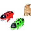 Cat with Red and Green Vibrating Bugs Toy 