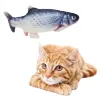 Kitten and Floppy Fish Pet Toy Together