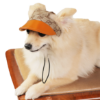 Dog wear a gg printed orange colour cap