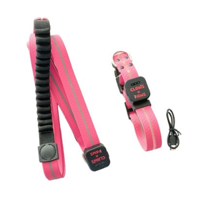 Full set of dog led collar and leash 