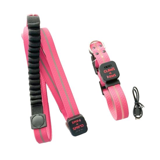 Full set of dog led collar and leash 