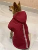 Dog wear a Maroon Windcheater Back View