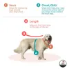 Dog and cat Jacket size measure guide