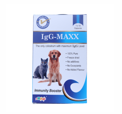 IGG-Maxx Tablets – Colostrum Supplement for Immunity & Recovery in Dogs and Cats Product Package Front View