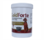 	GOLDFORT DOG 